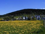 Oberer Ort von der Kurau gesehen