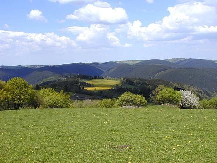 Zurück zur Fotoübersicht!