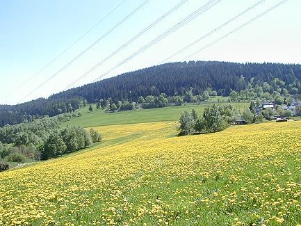 Zurück zur Fotoübersicht!