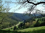 Blick ins Tal der Weißen Schwarza Foto D.Dressler