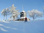 Blick auf die Meuselbacher Kuppe im Winter