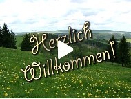 Video ansehen